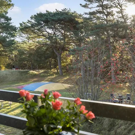 In With Wifi נקסו